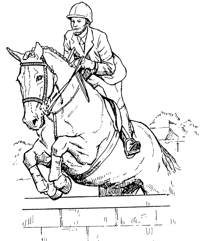 Horse Show Jumps Gates Fillers Standards Wing Standards